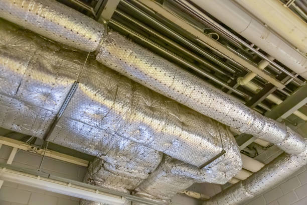 Best Duct Cleaning for Homes  in USA